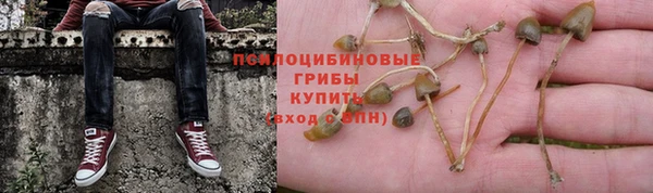 синтетический гашиш Балахна