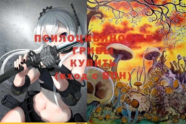 ПСИЛОЦИБИНОВЫЕ ГРИБЫ Балабаново
