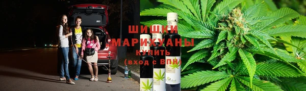 ПСИЛОЦИБИНОВЫЕ ГРИБЫ Балабаново