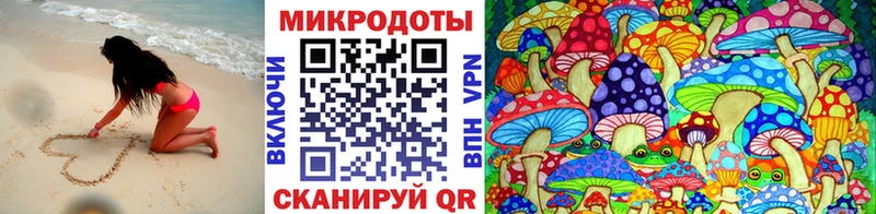 Псилоцибиновые грибы прущие грибы  Чухлома 